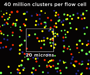 Fig 1 Illustration: Red boxes indicate areas with overlapping clusters.